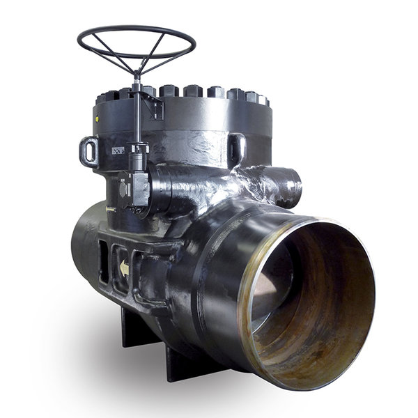 Swing Check Valve